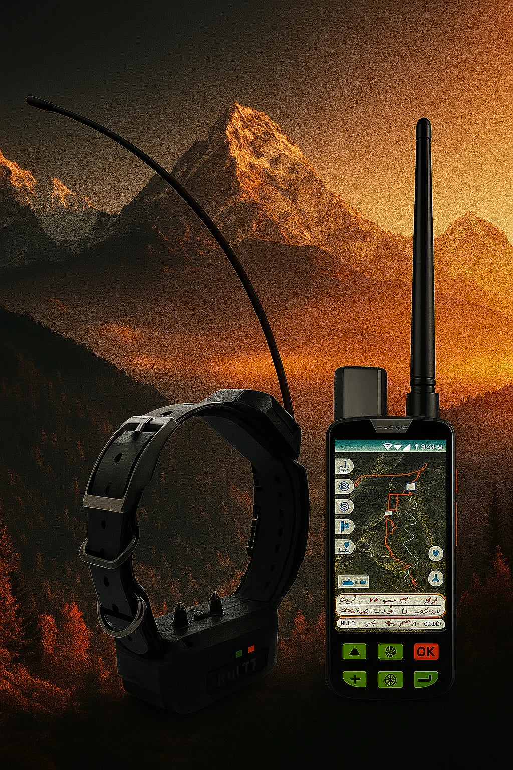 Dog collar and remote control with mountainous landscape in the background
