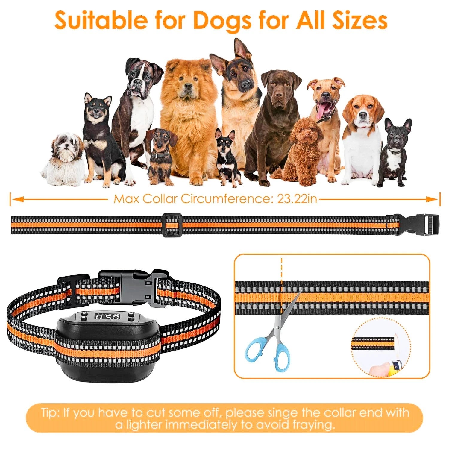 Dog collar with adjustable strap, suitable for dogs of all sizes, on a white background.