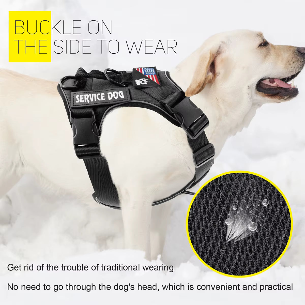 - Vital Pet Guard