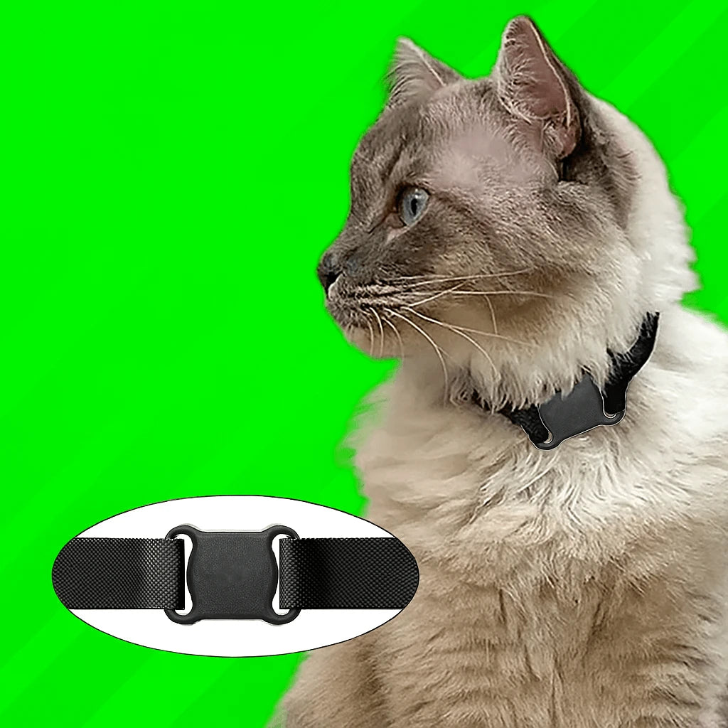 vital pet guard