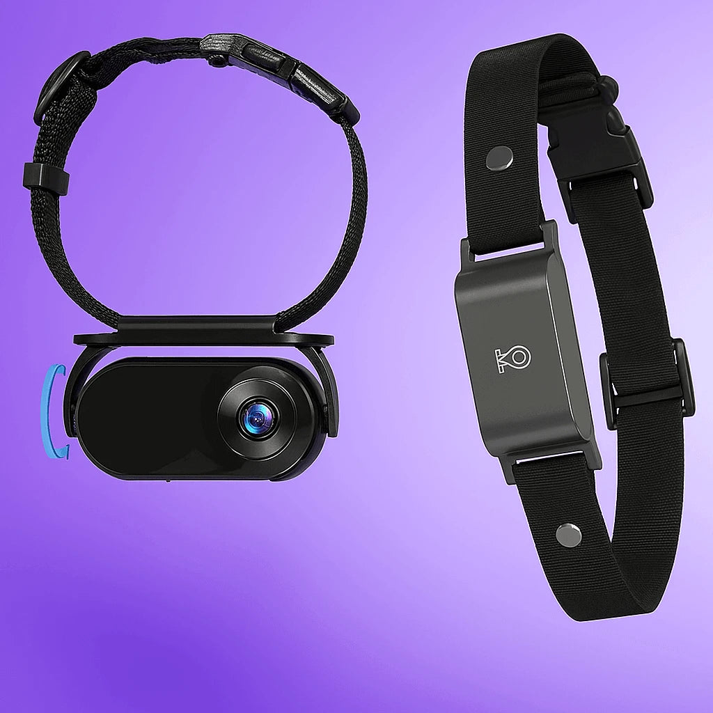 Black pet GPS tracker with camera on a purple background
