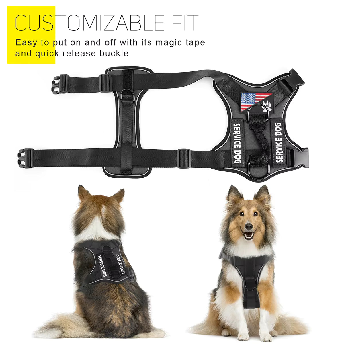 - Vital Pet Guard