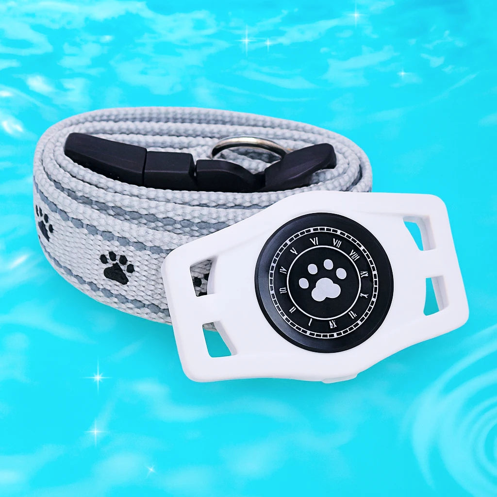 Dog leash with paw print design on a blue water background