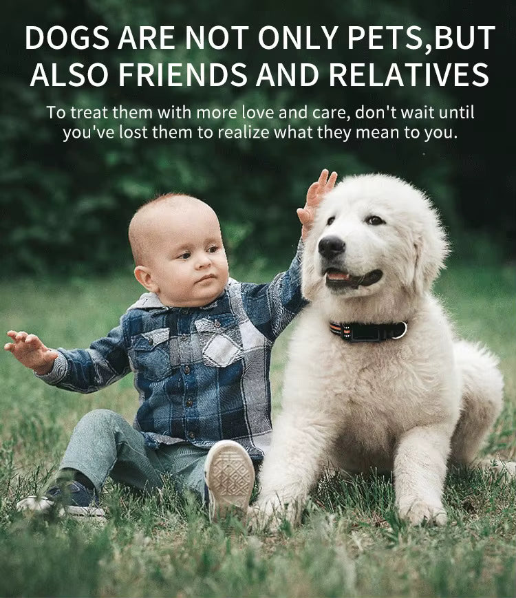 Child sitting with a large white dog in a grassy area, with text about dogs being more than pets.