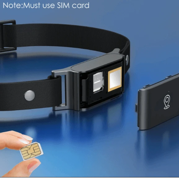 Pet collar with SIM card slot and a hand holding a SIM card on a blue background