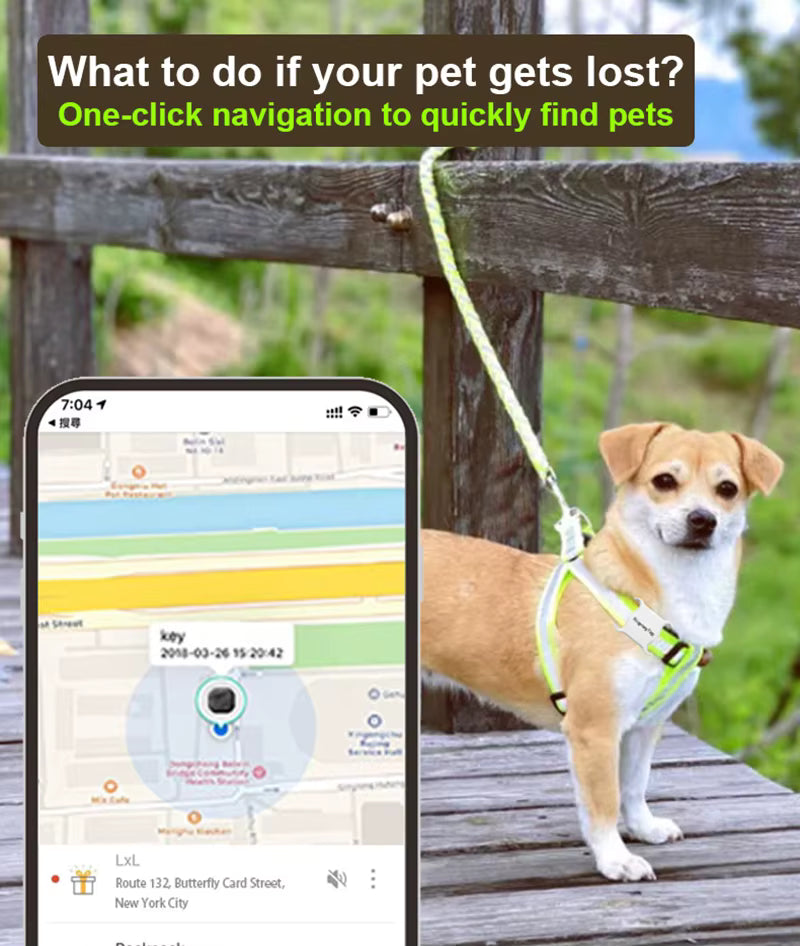 Dog on a leash with a smartphone displaying a pet tracking app, set against a wooden fence and greenery.