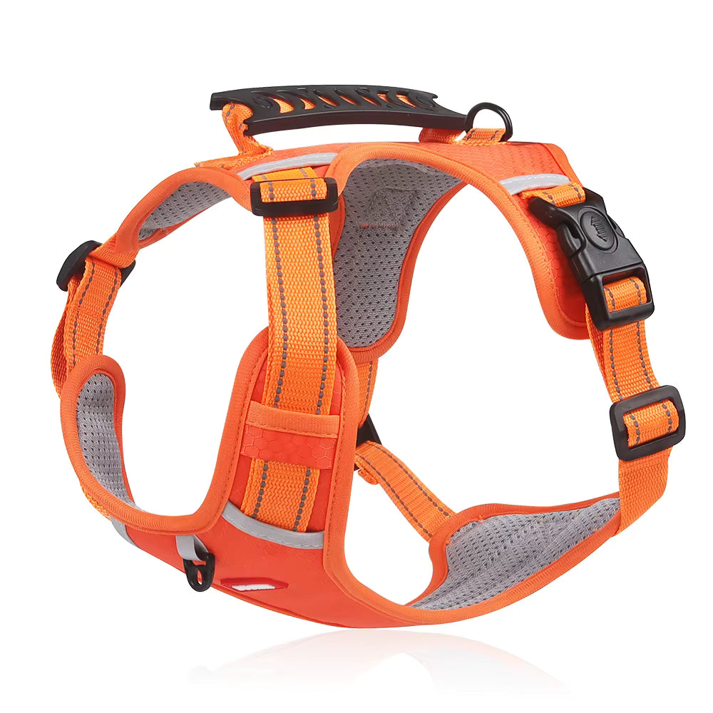 - Vital Pet Guard