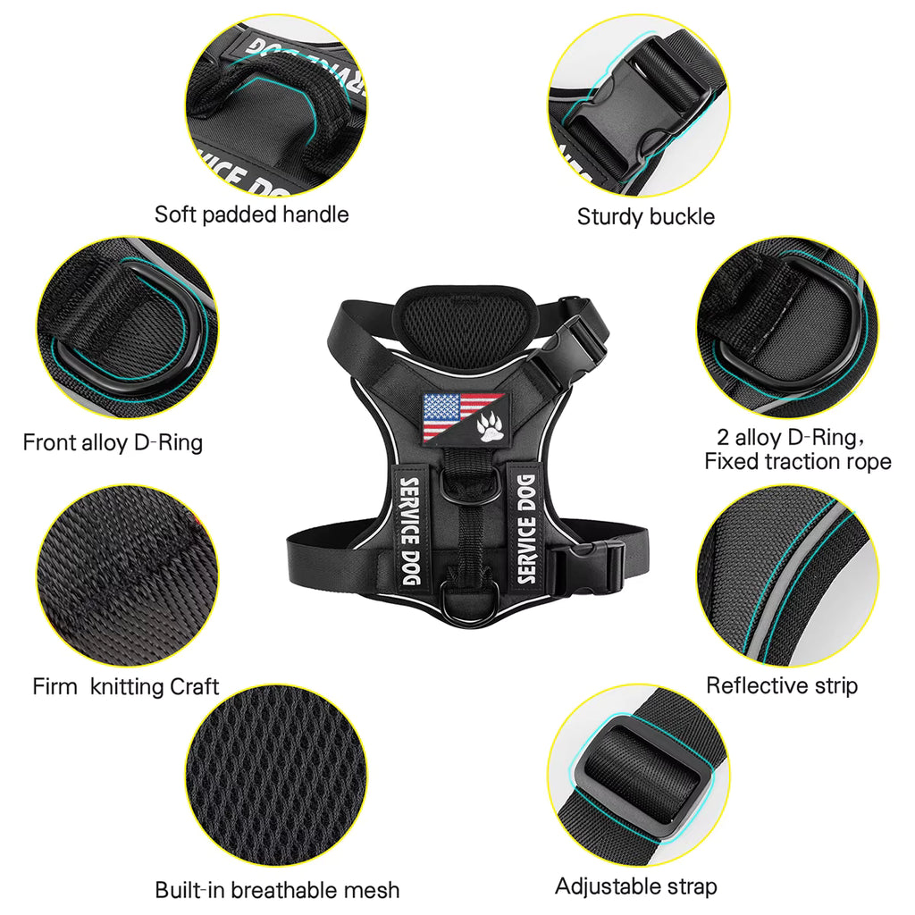 - Vital Pet Guard