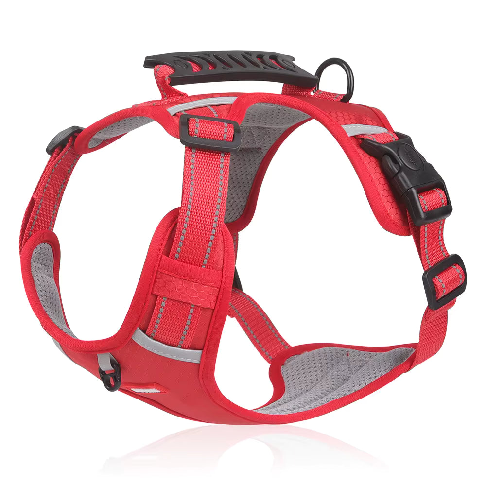 - Vital Pet Guard