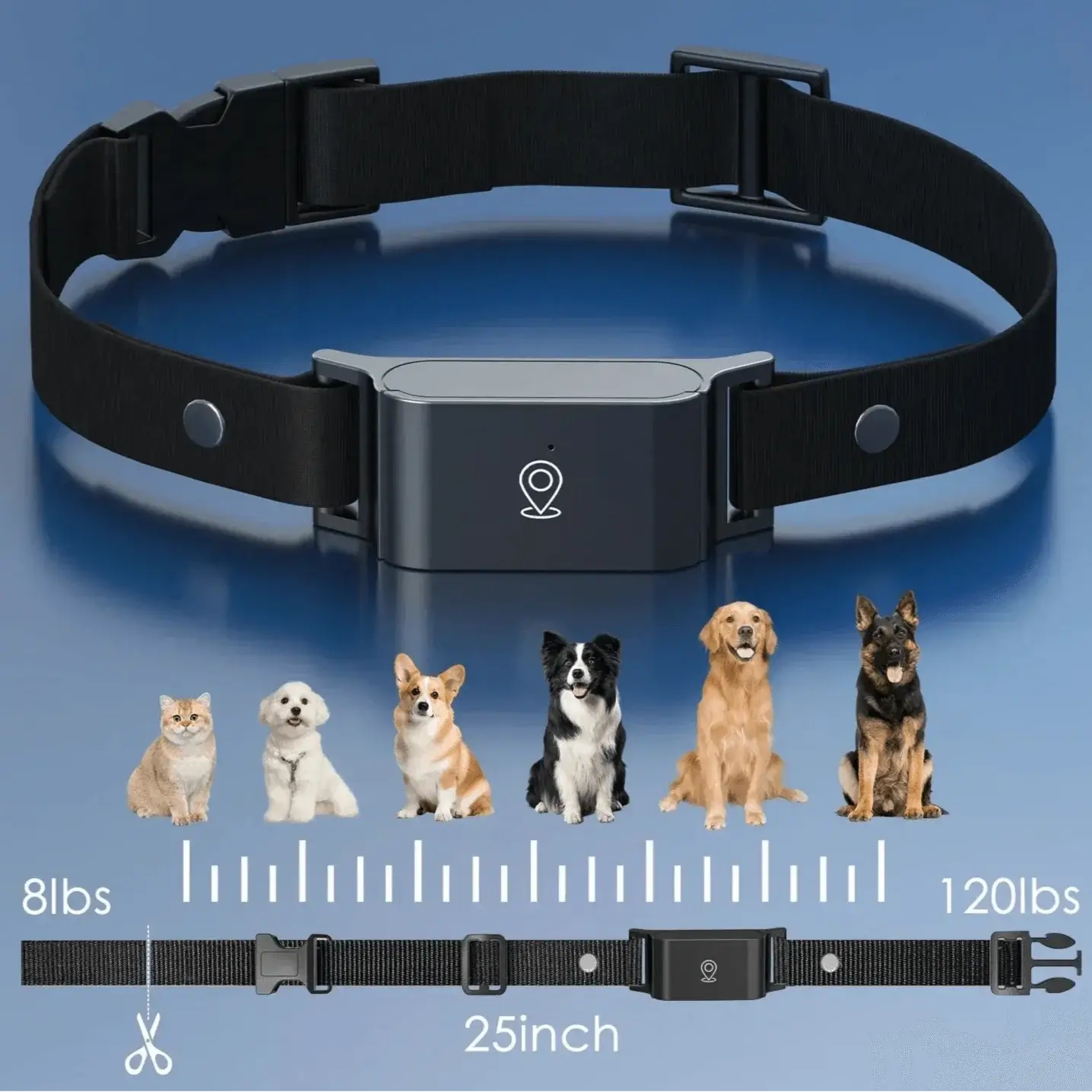 - Vital Pet Guard
