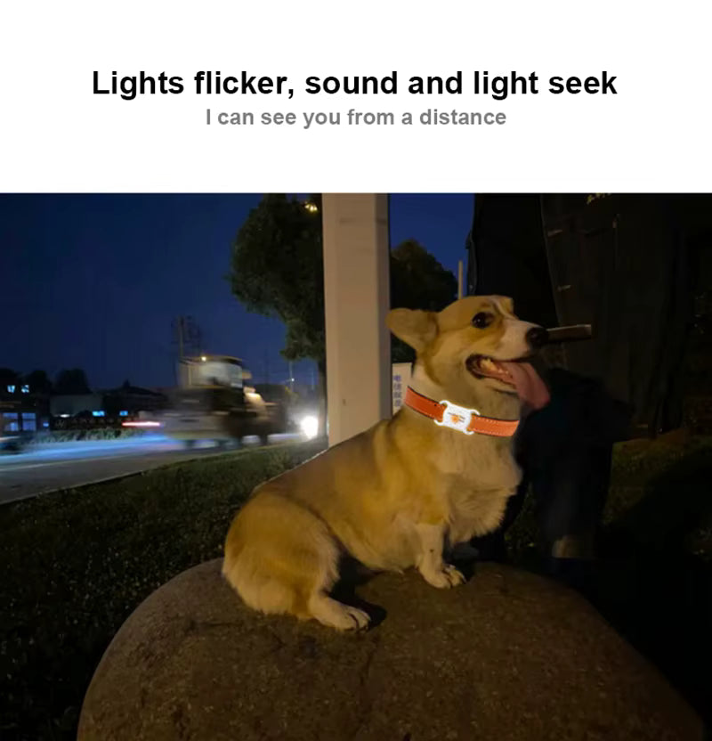 Dog wearing a reflective collar sitting on a rock at night with text about lights and sound.