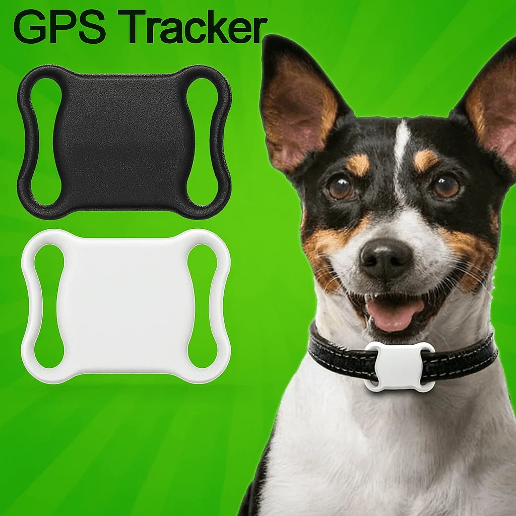 Dog wearing a GPS tracker collar with two tracker options displayed on a green background