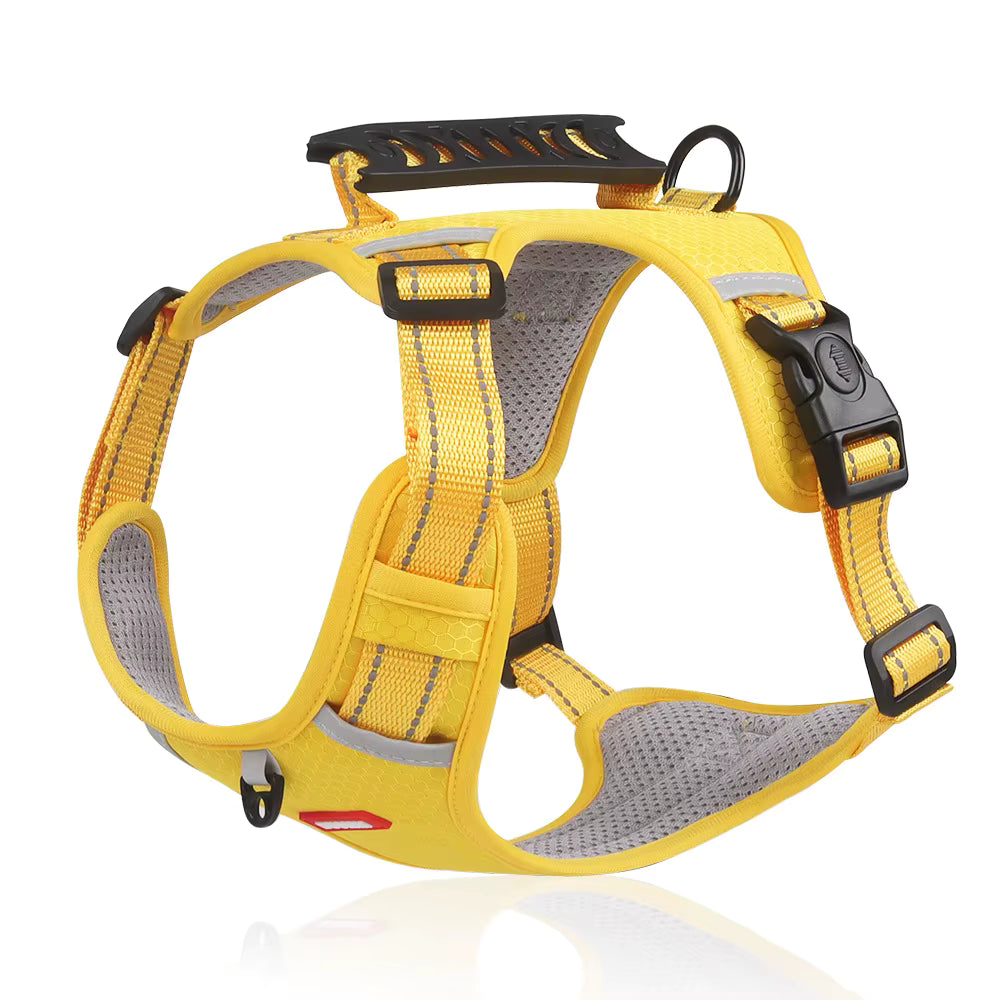 - Vital Pet Guard