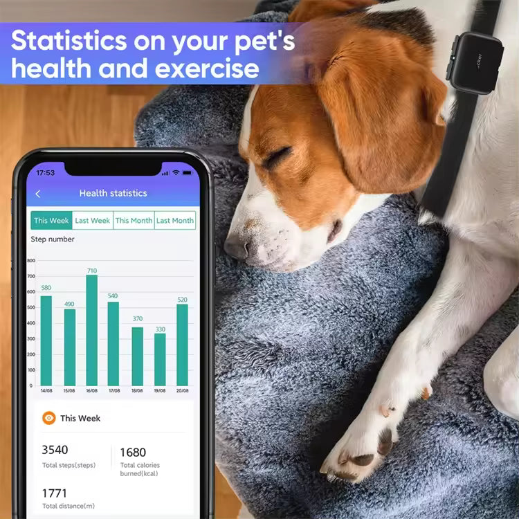 - Vital Pet Guard