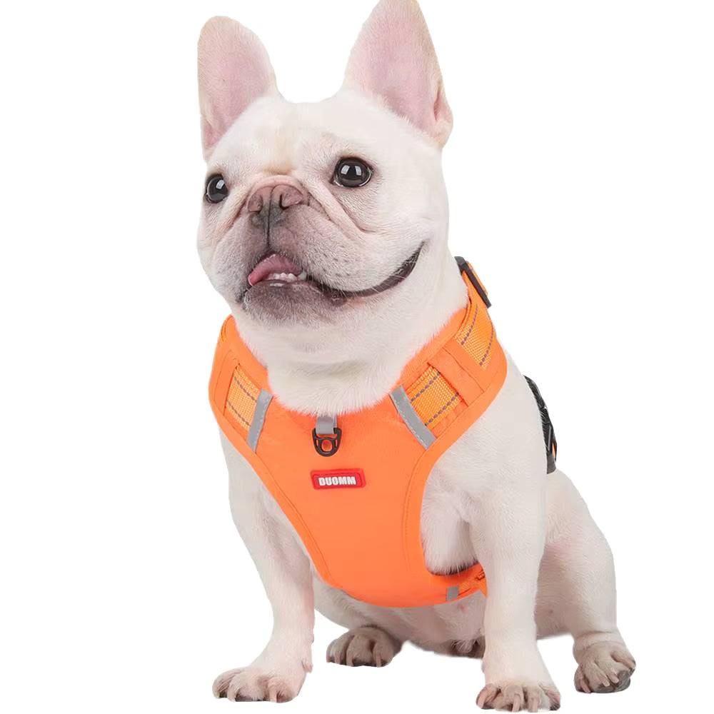 - Vital Pet Guard
