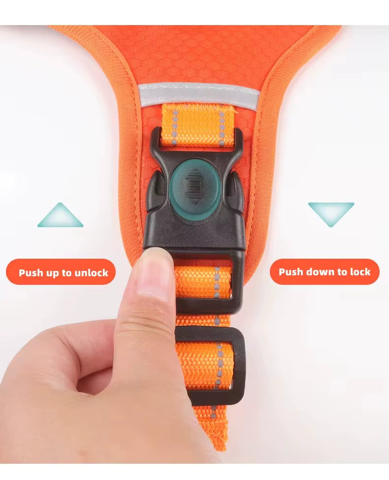 - Vital Pet Guard