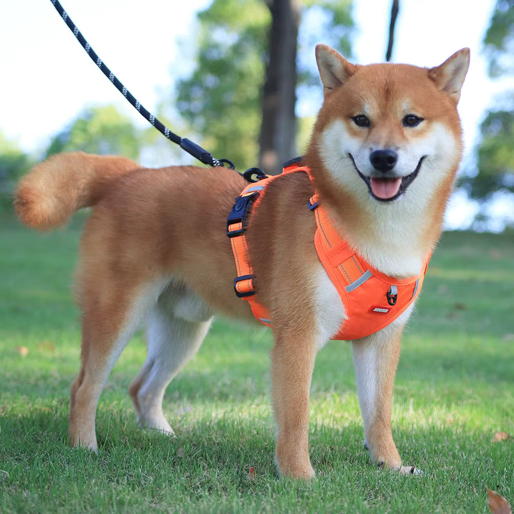 - Vital Pet Guard