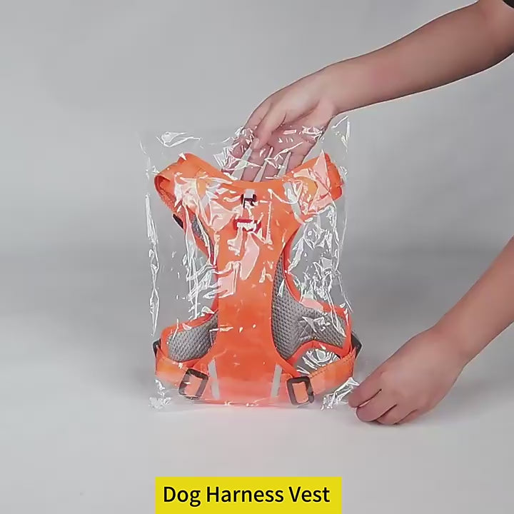“Trusted pet safety device for families 