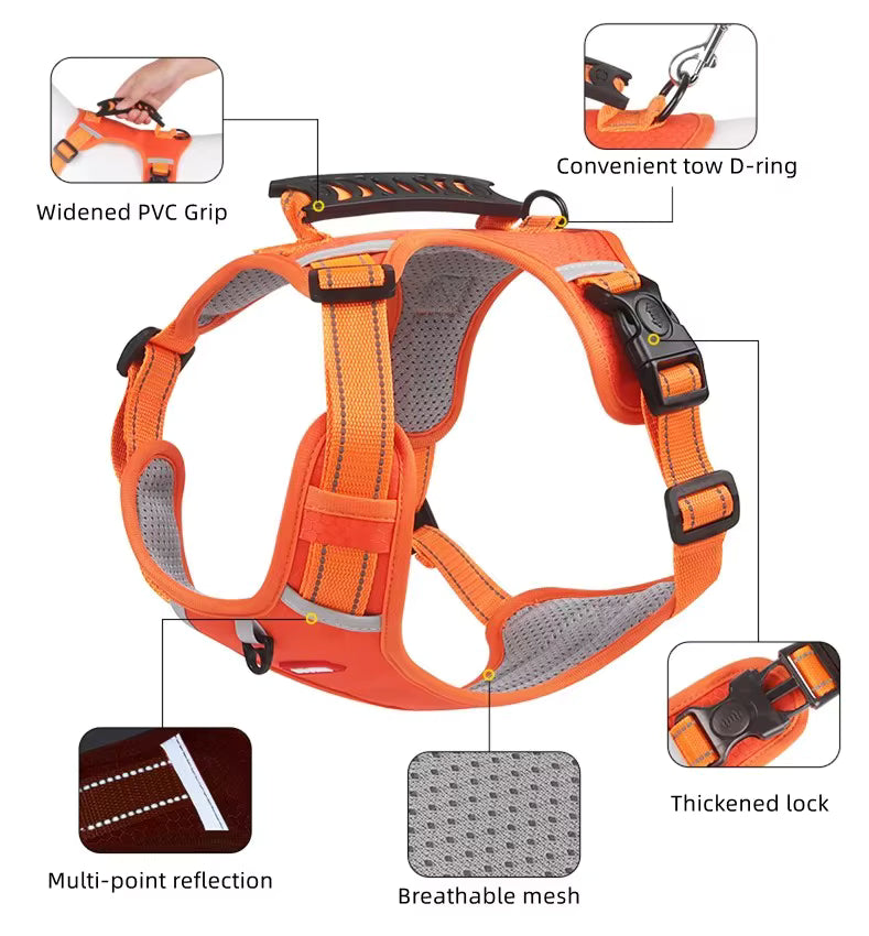 - Vital Pet Guard