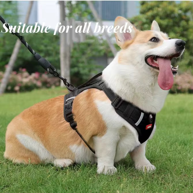- Vital Pet Guard